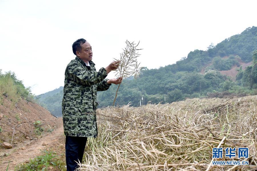 （代表委員履職·圖文互動）（1）“我是農民代表，始終關注農村”——全國人大代表沈昌健的履職故事