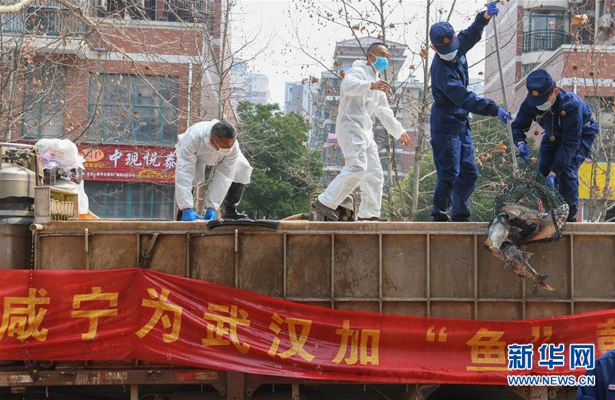 （新華全媒頭條·圖文互動）（12）從人民中汲取磅礴力量——習近平總書記同出席2020年全國兩會人大代表、政協委員共商國是紀實