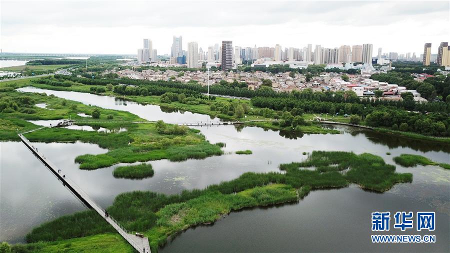 （走向我們的小康生活·圖文互動）（2）水清、地綠、空氣新——最北省份黑龍江繪就生態治理新畫卷