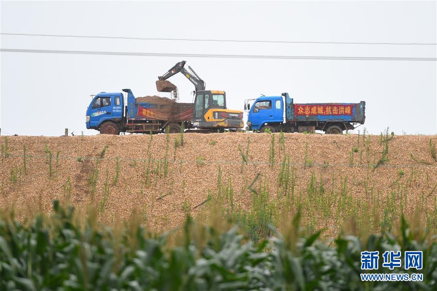 （防汛抗洪·圖文互動）（4）“險情不可怕，可怕的是不能及時發現險情”——洞庭湖巡堤查險現場直擊