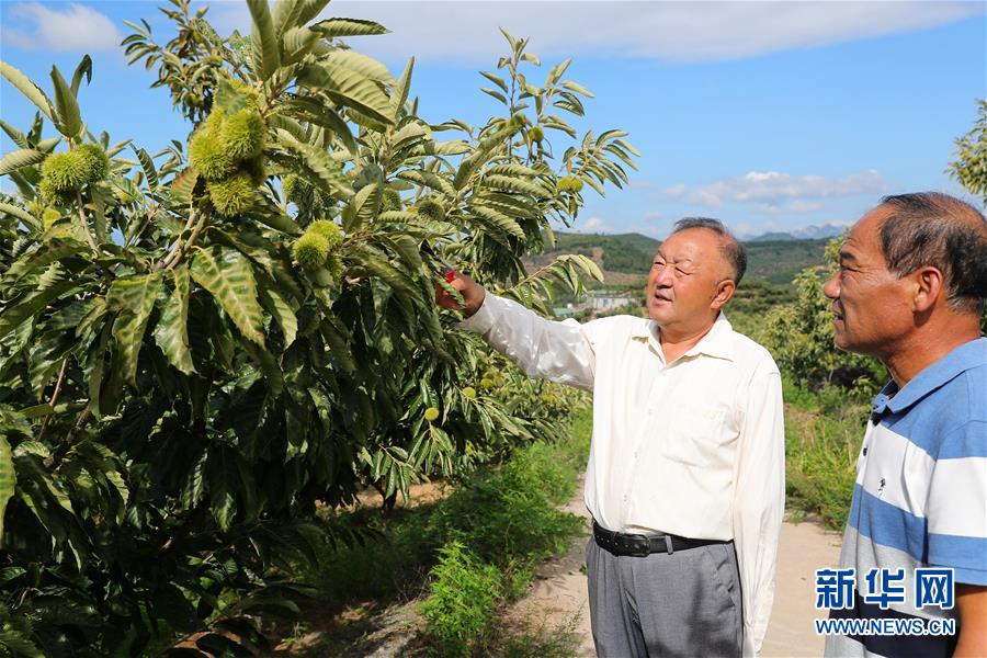 （新華全媒頭條·走向我們的小康生活·圖文互動）（11）長城腳下，小康村串成“珍珠鏈”