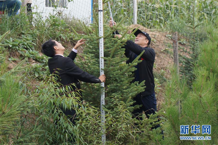 （決戰決勝脫貧攻堅·圖文互動）（2）甘肅定西黃土高坡上，有片“福州林”