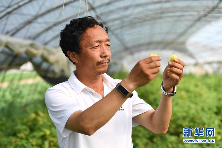 （新華全媒頭條·走向我們的小康生活·圖文互動）（7）黑土地上是我家——在吉林，一瞥中國東北鄉村美麗未來