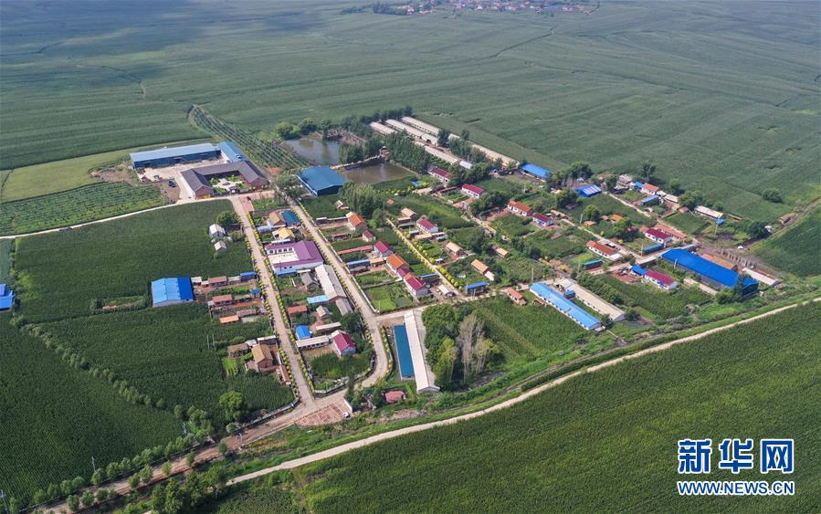（新華全媒頭條·走向我們的小康生活·圖文互動）（12）黑土地上是我家——在吉林，一瞥中國東北鄉村美麗未來