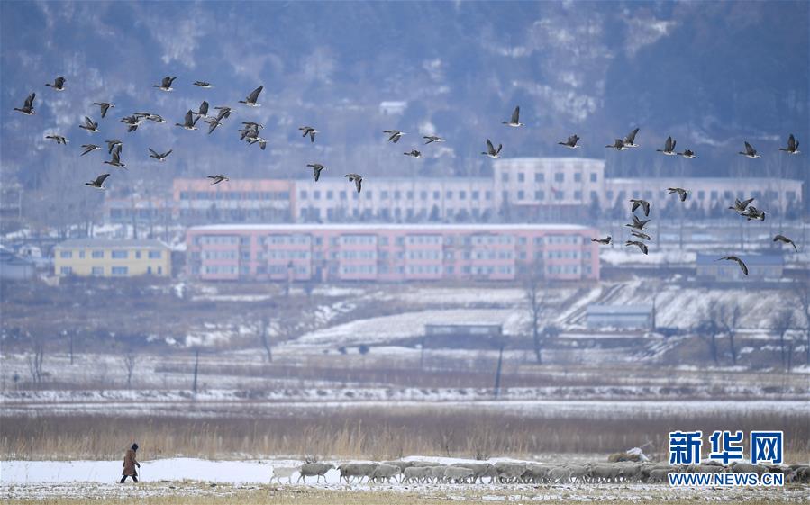 （新華全媒頭條·走向我們的小康生活·圖文互動）（14）黑土地上是我家——在吉林，一瞥中國東北鄉村美麗未來