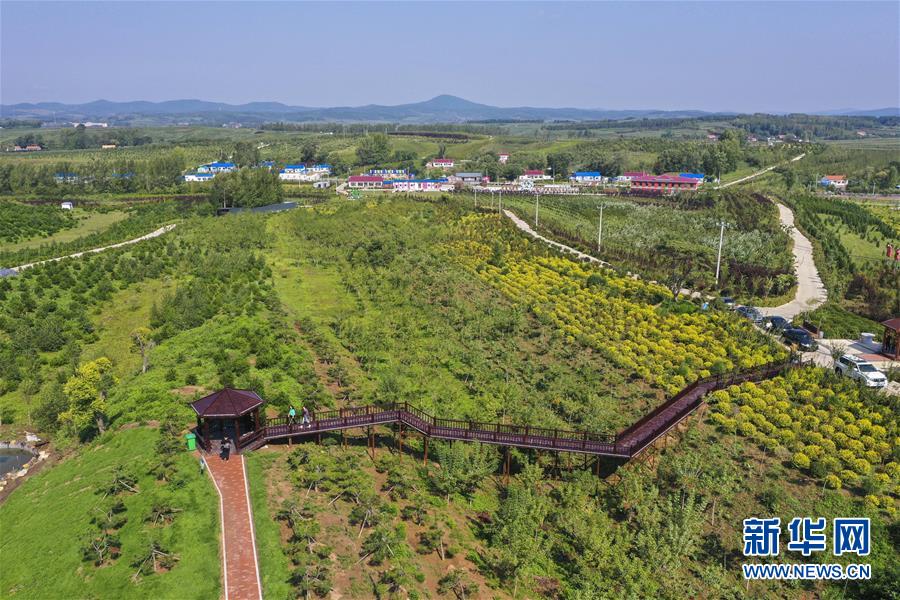 （新華全媒頭條·走向我們的小康生活·圖文互動）（16）黑土地上是我家——在吉林，一瞥中國東北鄉村美麗未來