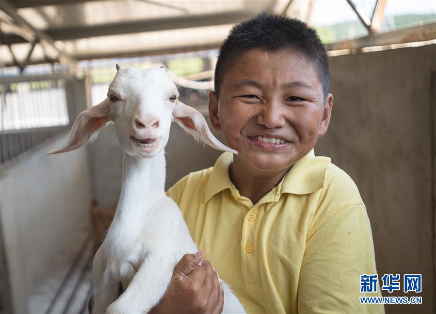 （新華全媒頭條·走向我們的小康生活·圖文互動）（5）特殊之年，荊楚大地書寫不平凡的答卷