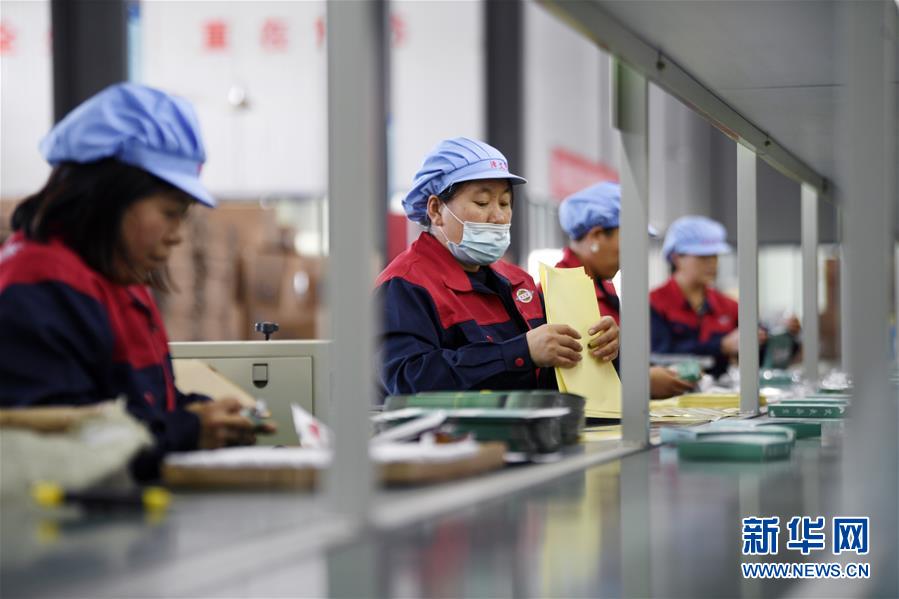 （在習近平新時代中國特色社會主義思想指引下——新時代新作為新篇章·習近平總書記關切事·圖文互動）（1）“綠色銀行”發工資、“股東”分紅來敲門……——探索長效脫貧致富新機制見聞