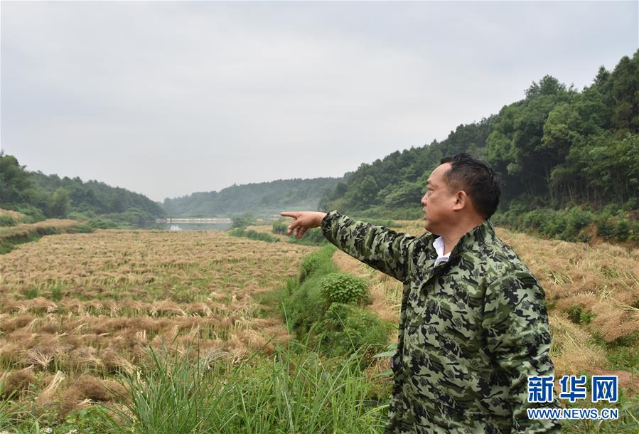 （代表委員履職·圖文互動）（2）“我是農民代表，始終關注農村”——全國人大代表沈昌健的履職故事