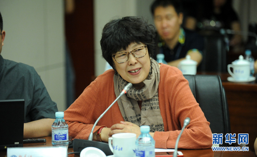 陳小波：新華人對歷史的擔當、情感與良知