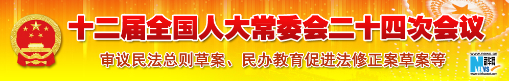 十二屆全國人大常委會第二十四次會議