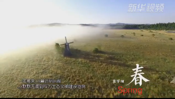 塞罕壩：那一抹綠色，走進越來越多人心里