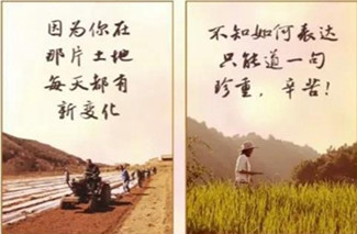 【H5】致奮斗在脫貧戰場上的你