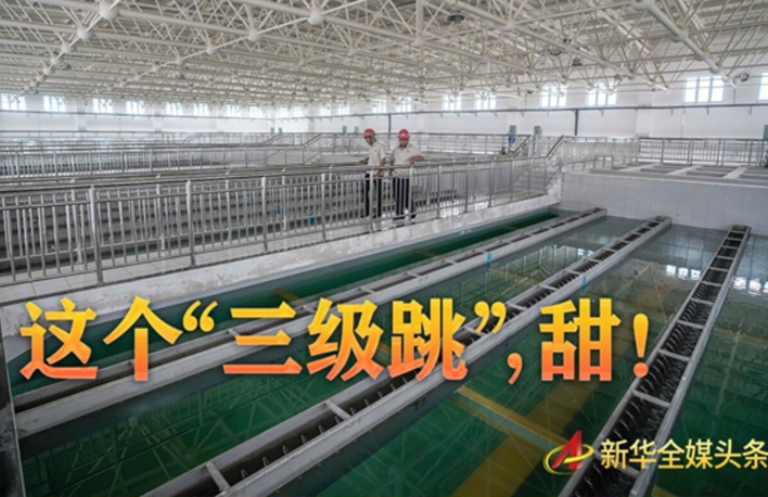 這個&ldquo;三級跳&rdquo;，甜！