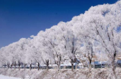 全國初雪時間表出爐 看看你離初雪還有多遠？