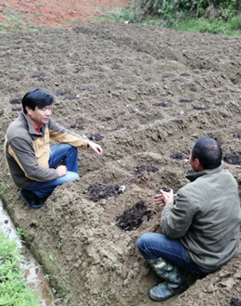 華能駐福建上洋村第一書記鄭永 點滴小事，打造穩穩的幸福