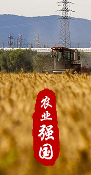農業強國是社會主義現代化強國的根基。