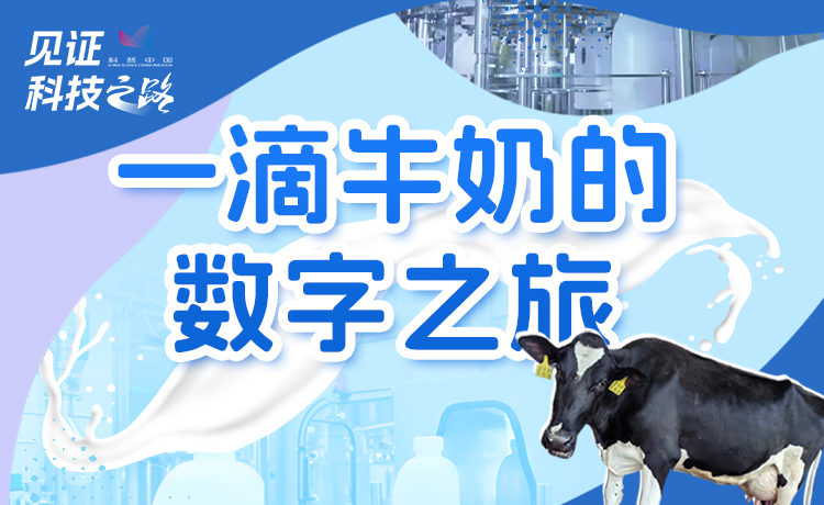 一滴“數字牛奶”背后的創新密碼