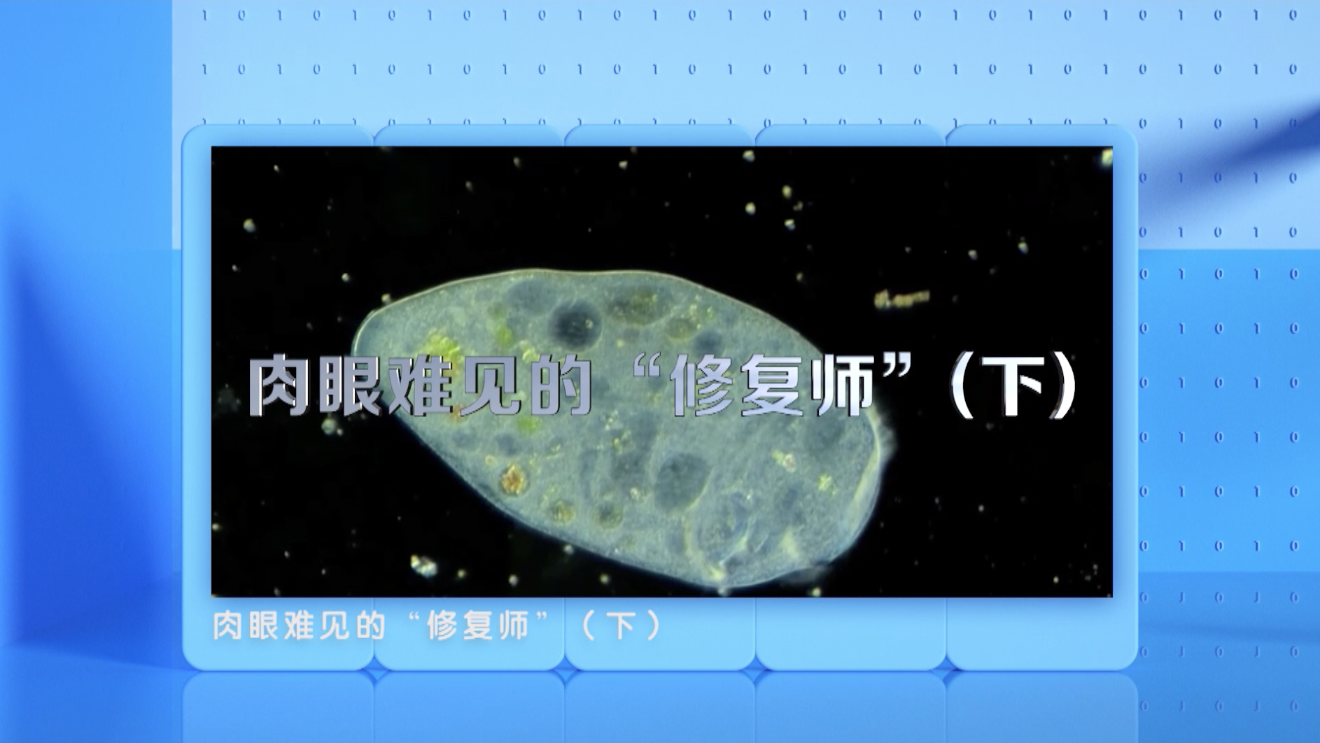 肉眼難見的修復師（下）