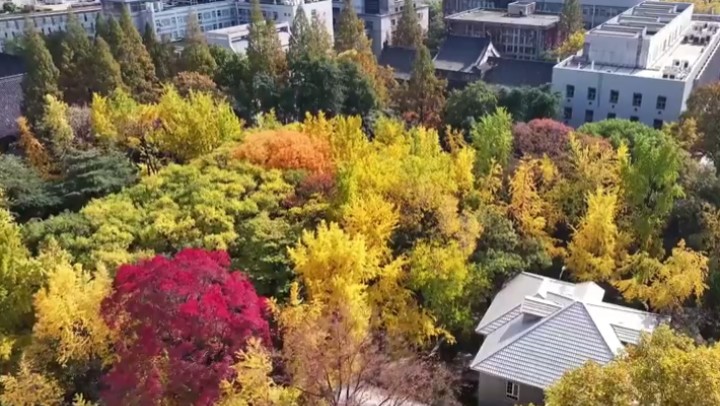 金風為何能送爽