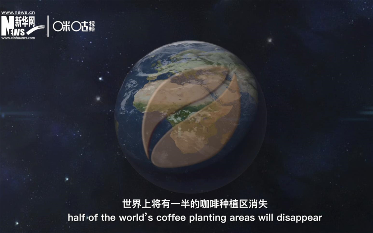 科學家預測到三十年后，世界上將有一半的咖啡種植區消失