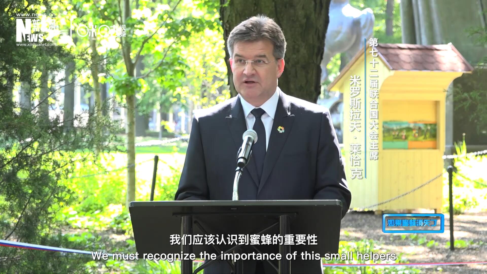 我們應該認識到蜜蜂的重要性，所以我們用“世界蜜蜂日”提高大家保護蜜蜂的意識，并且用實際行動去保護蜜蜂