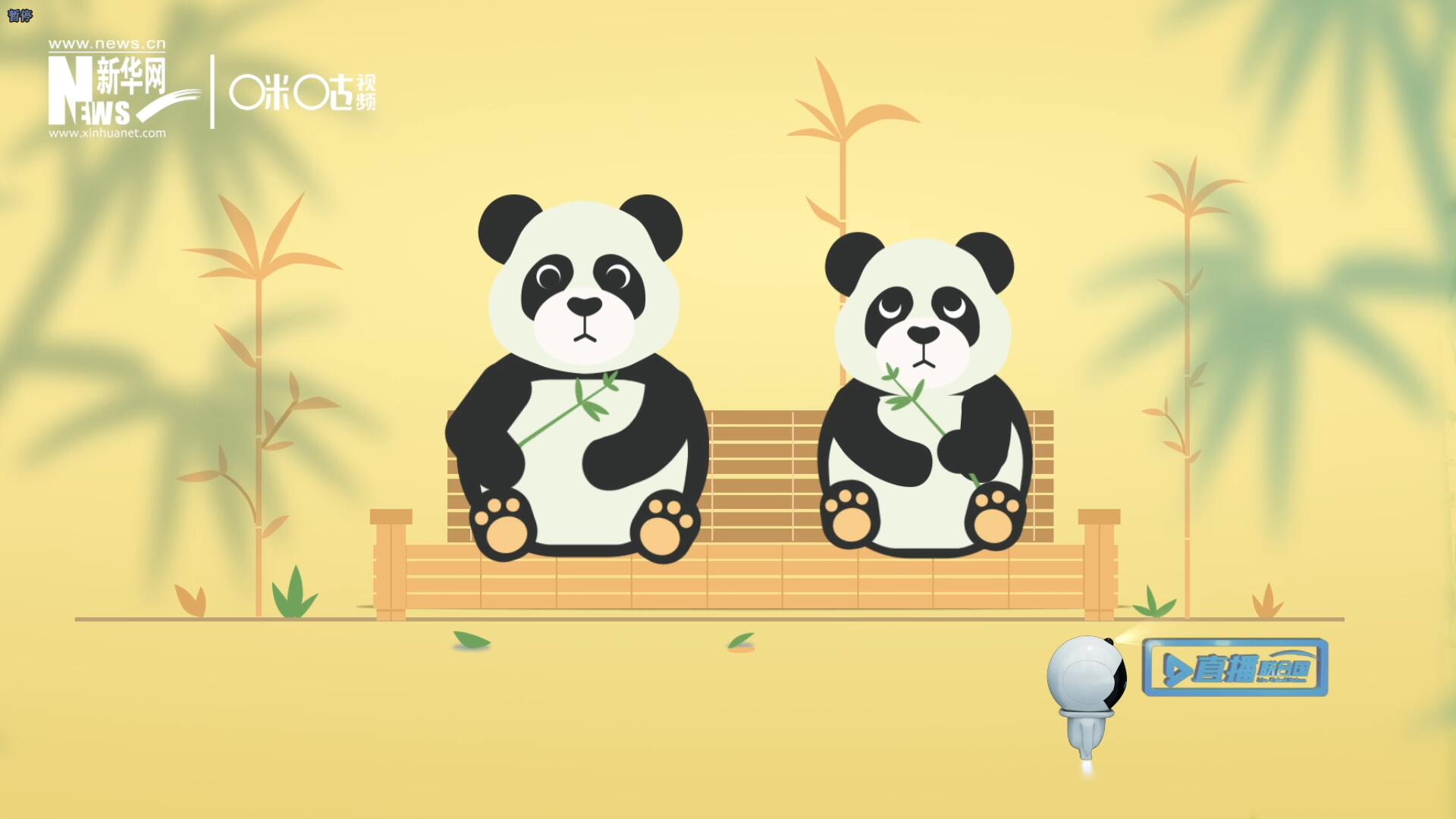 “哥哥你看，又有人來看我們了。”“有什么奇怪的，我們可是聯合國‘最萌’的大使??！”。