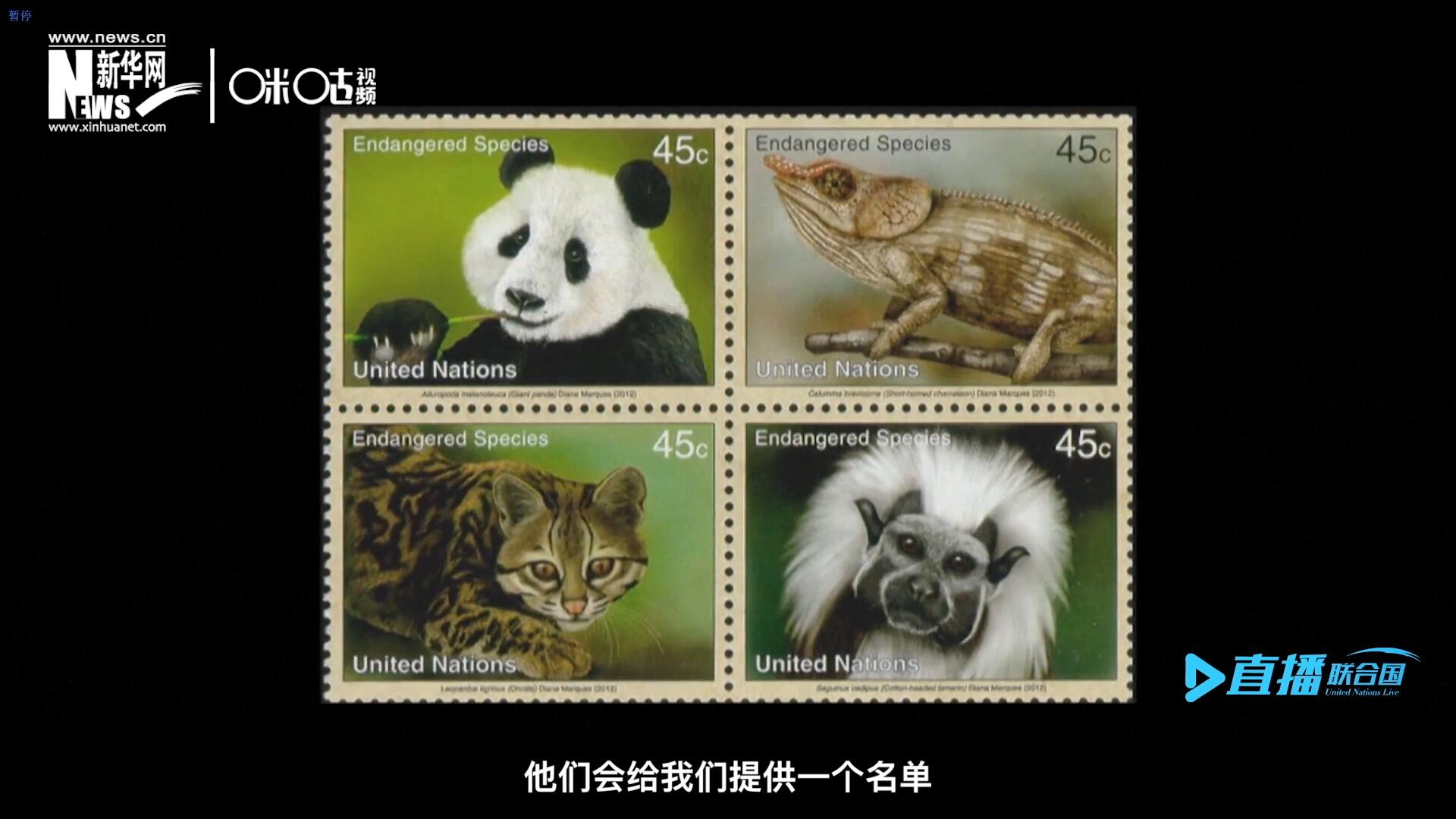 CITES（瀕危野生動植物種國際貿易公約）會給聯合國郵政設計師提供一個名單，雙方共同合作在附錄中找到名單中應該受到關注的動物。