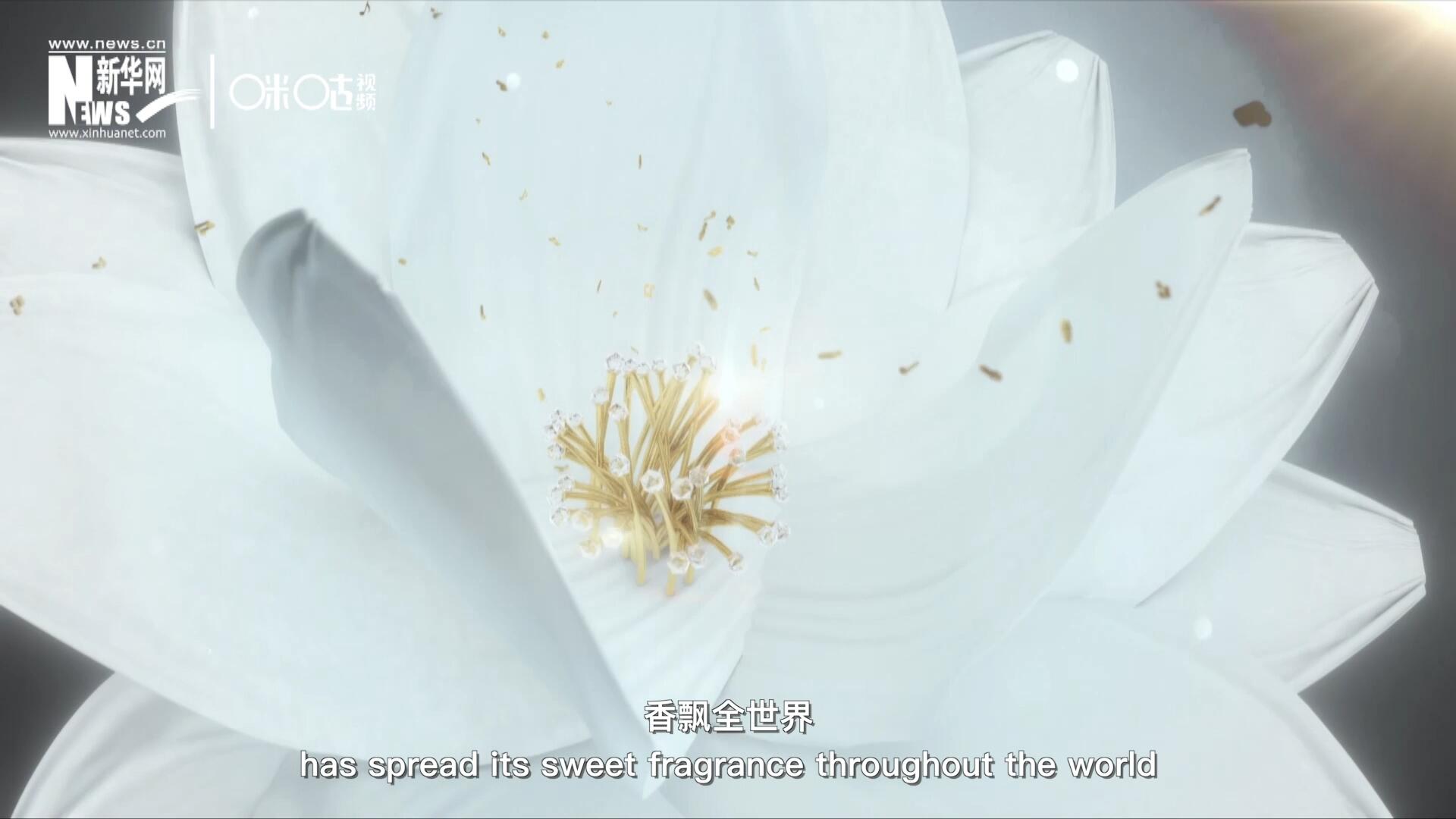 一朵茉莉花，香飄全世界。這首充滿民族特色的經典旋律，在世界范圍內廣為流傳，是極具辨識度的東方音樂符號。