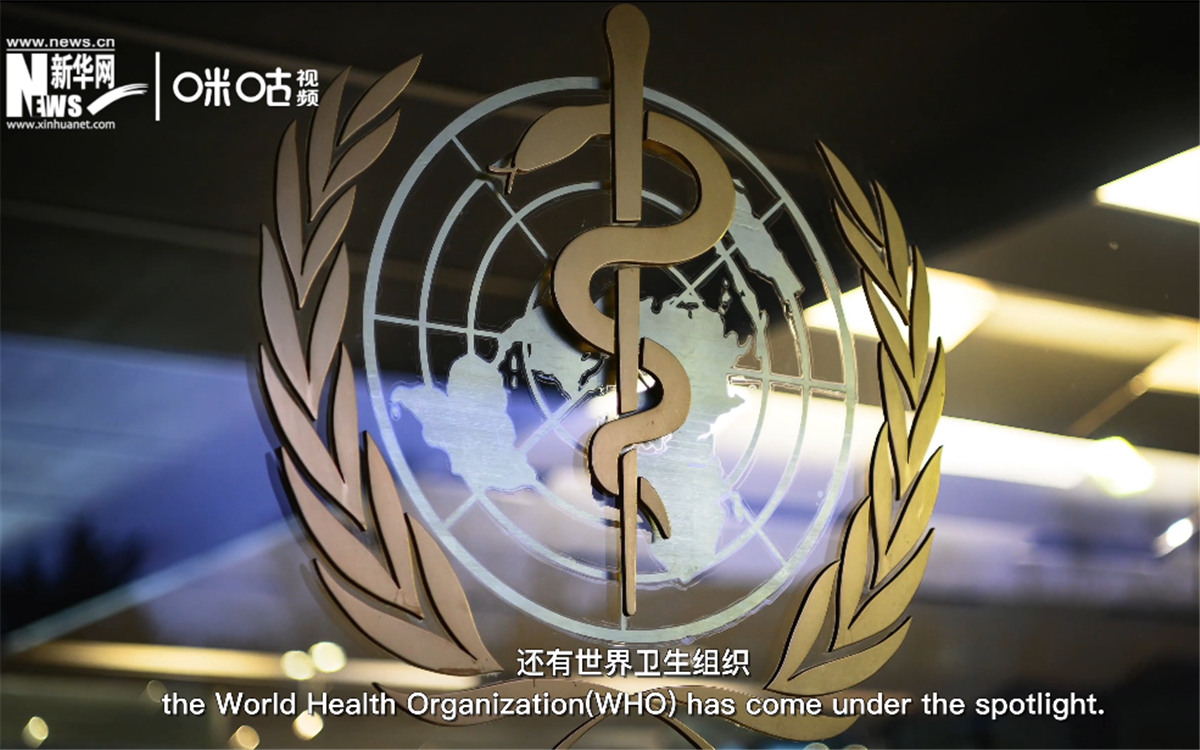 世衛組織在全球公共衛生方面發揮領導和協調作用。