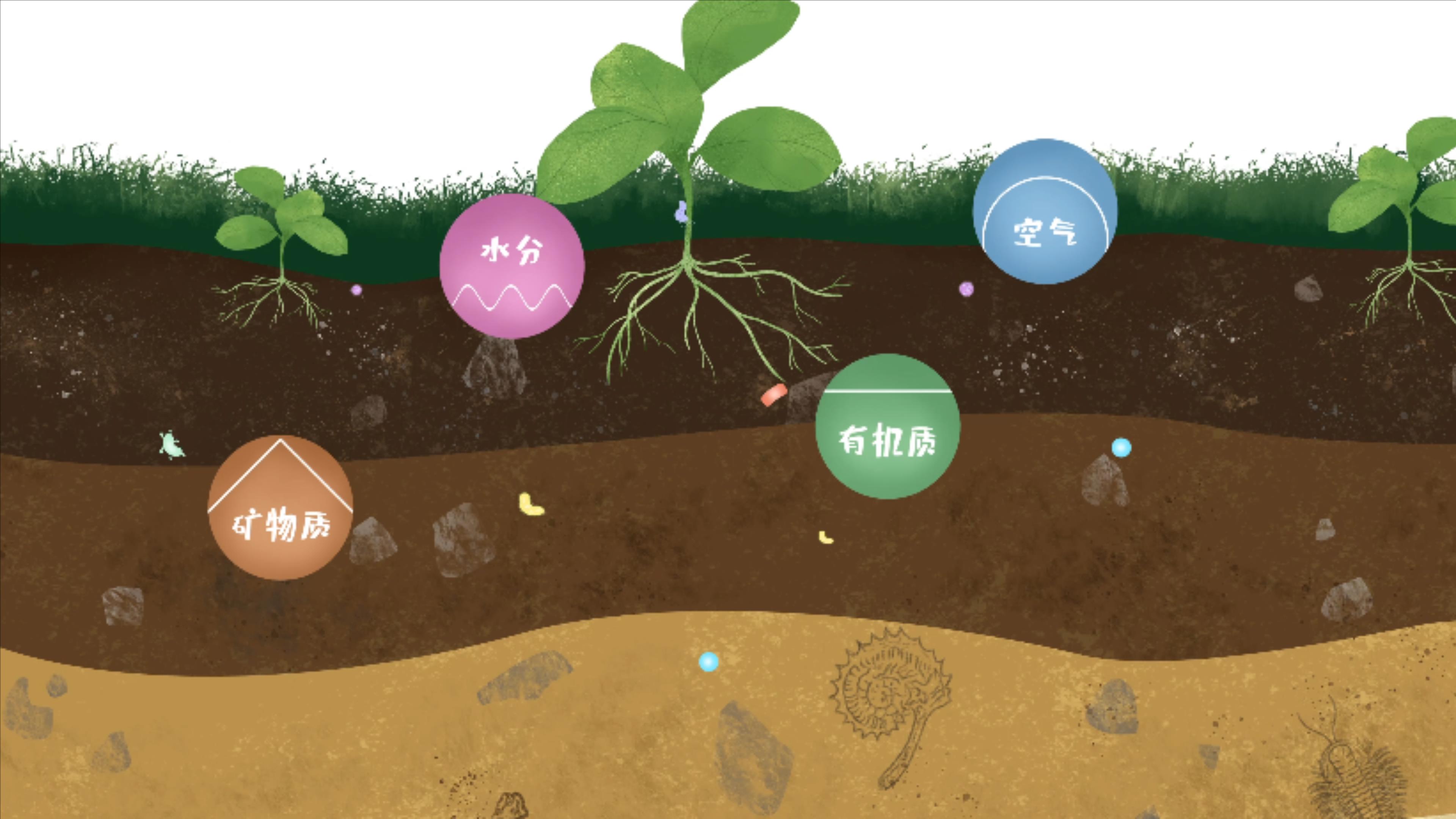 土壤由礦物質、有機質、水分、空氣及包括微生物在內的生物體等組成