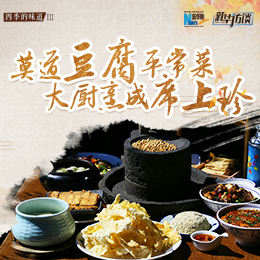 莫道豆腐平常菜，大廚烹成席上珍
