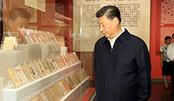 這些年，這些展，總書記這些話直抵人心