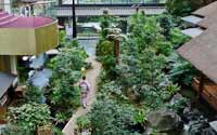 震撼！日本最豪華的廁所（組圖）