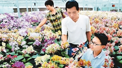 臺商眼中的改革開放：風景這邊獨好 要去，要去，要去！