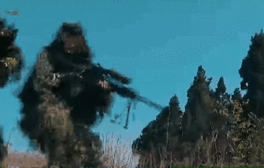 突入，擊斃！直擊武警特戰反劫持演練！