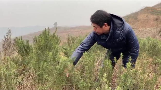 新春走基層｜脫貧后，駐村扶貧隊長在干啥？