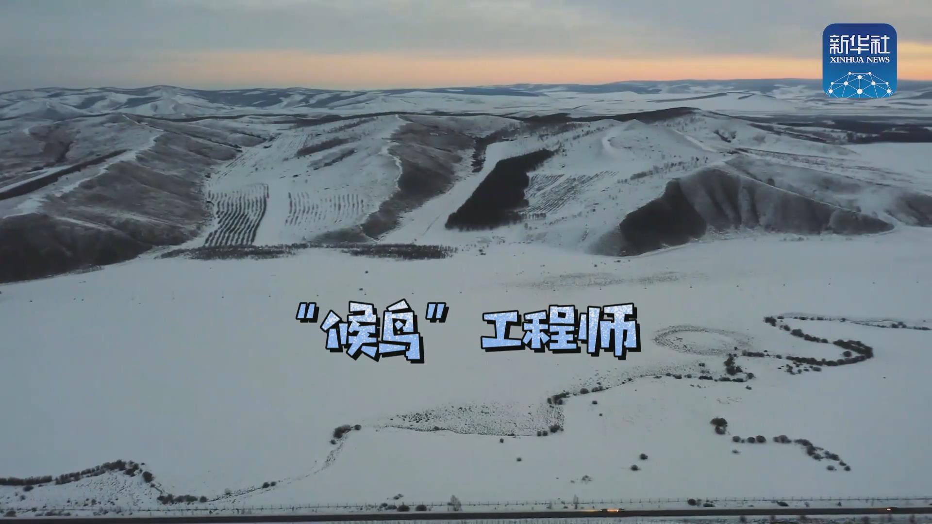 我們在奔跑丨一路向北！他是逆行的“候鳥”