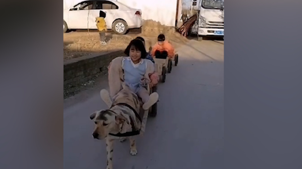 男子給孩子做縮小版小火車，家里的狗狗做動力拉著孩子上學