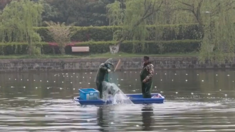 別人家的學校！安師大請師生吃一萬斤魚