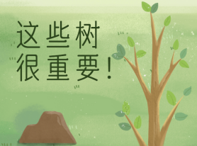 這些樹很重要！