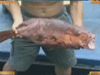 [新聞1+1] 走，南沙捕魚去！