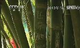 “五一”去哪？：快樂出行 文明旅游