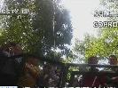 “五一”去哪？：動物不喜歡的“美食節”
