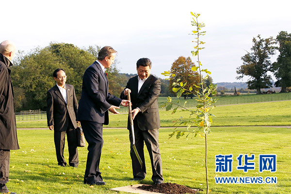 兩國領導人一同在別墅草坪，共同種下象征中英友誼的橡樹。新華社記者 鞠鵬 攝