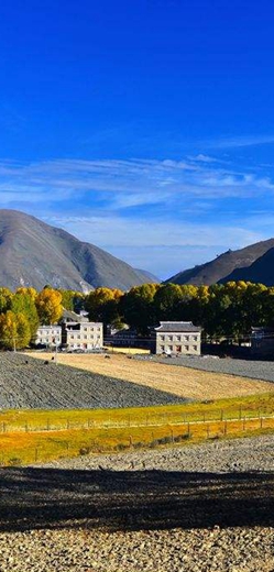 說走就走！大美絲路之旅不再遙遠 