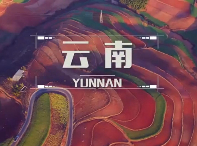 面向全球，直播“一帶一路”！——古道新生云之南