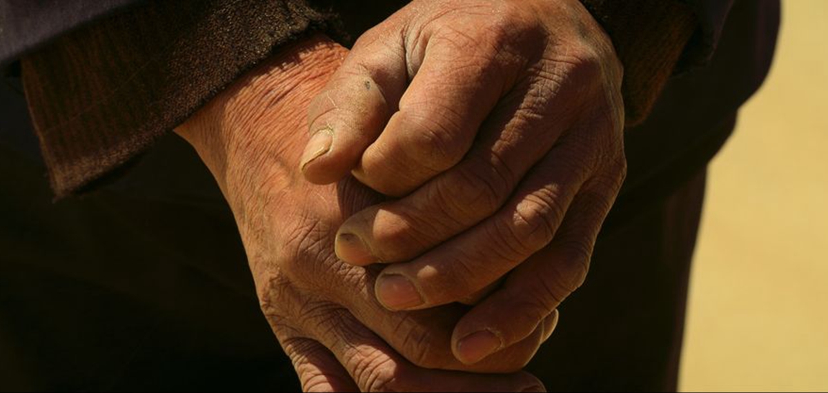 正式發布！《攜手，為人民》中國共產黨與世界政黨領導人峰會暖場片